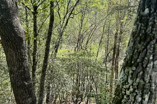 107 Brendart Hill Rd, Sunset, SC 29685 - Photo 36