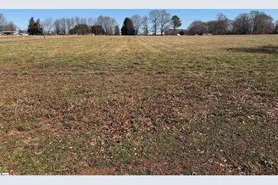 0 Berry Road, Pelzer, SC 29669 - Photo 4