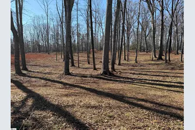 0 Berry Road, Pelzer, SC 29669 - Photo 10