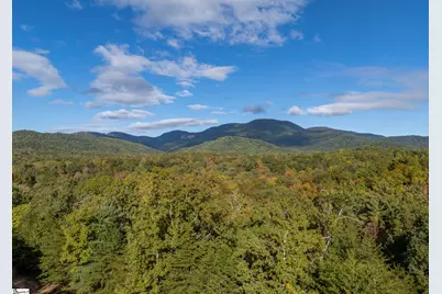 100 Pardo Road, Landrum, SC 29356 - Photo 14