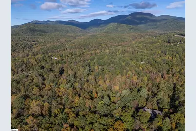 100 Pardo Road, Landrum, SC 29356 - Photo 6