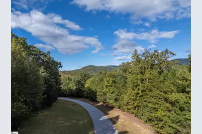 100 Pardo Road, Landrum, SC 29356 - Photo 12