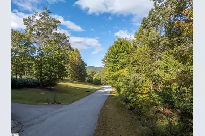 100 Pardo Road, Landrum, SC 29356 - Photo 10