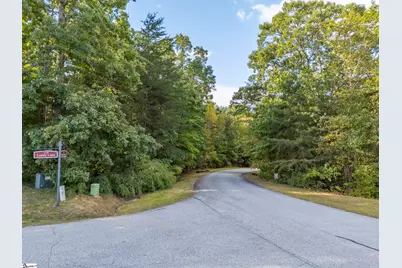 100 Pardo Road, Landrum, SC 29356 - Photo 2