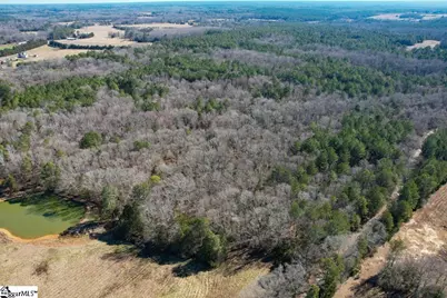 0 Gene Fleming Road #(Lot 1), Abbeville, SC 29655 - Photo 12