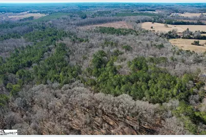 0 Gene Fleming Road #(Lot 1), Abbeville, SC 29655 - Photo 14