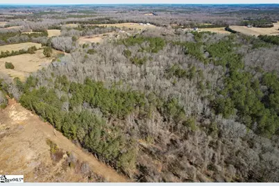 0 Gene Fleming Road #(Lot 1), Abbeville, SC 29655 - Photo 28