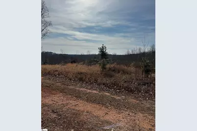 165 Still Lake Trail, Greer, SC 29651 - Photo 26