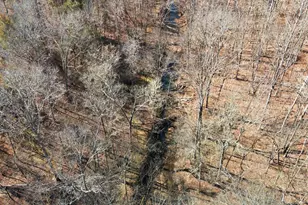 1602 Klugh Rd, Abbeville, SC 29620 - Photo 46