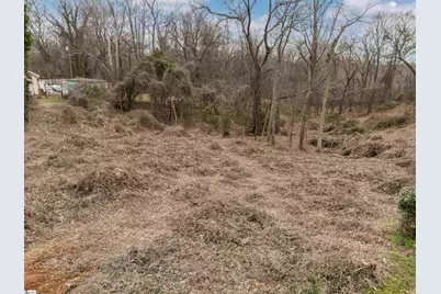 0 Cedar Crest Road, Spartanburg, SC 29301 - Photo 6
