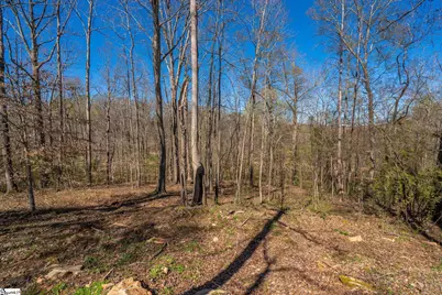 5 Bagwell Place, Spartanburg, SC 29302 - Photo 4