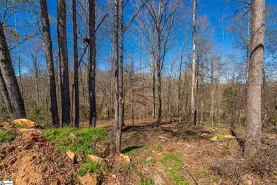 6 Bagwell Place, Spartanburg, SC 29302 - Photo 2