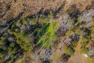 68 Smith Dr, Bradley, SC 29819 - Photo 40