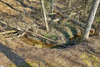 138 Medlin Drive, Pickens, SC 29671 - Photo 32