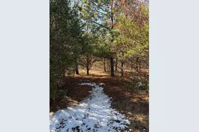 895 Mahaffey Cooley Road, Chesnee, SC 29323 - Photo 36