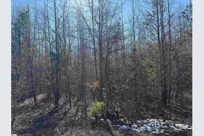 895 Mahaffey Cooley Road, Chesnee, SC 29323 - Photo 38