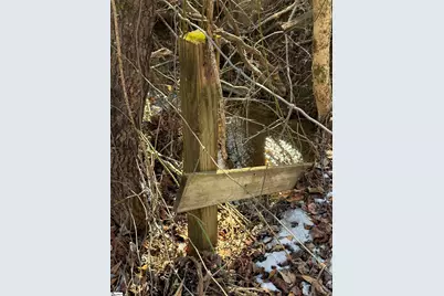 895 Mahaffey Cooley Road, Chesnee, SC 29323 - Photo 40