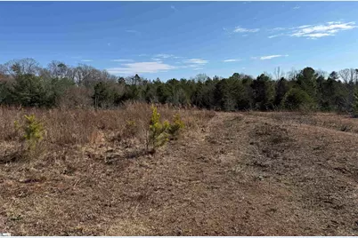 895 Mahaffey Cooley Road, Chesnee, SC 29323 - Photo 18