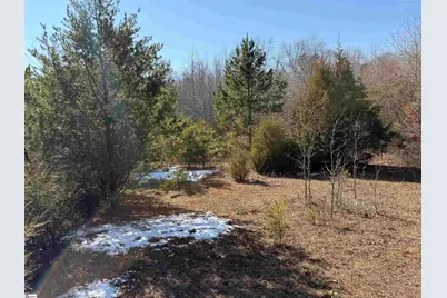 895 Mahaffey Cooley Road, Chesnee, SC 29323 - Photo 32