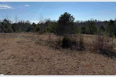 895 Mahaffey Cooley Road, Chesnee, SC 29323 - Photo 24