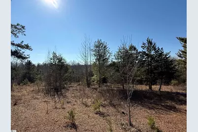 895 Mahaffey Cooley Road, Chesnee, SC 29323 - Photo 28