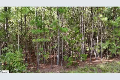 0A Neighbors Road, Clinton, SC 29325 - Photo 6