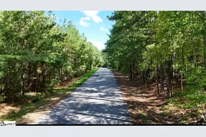 0A Neighbors Road, Clinton, SC 29325 - Photo 4