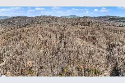 60 Chestnut Mountain Road, Travelers Rest, SC 29690 - Photo 24