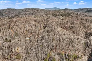 60 Chestnut Mountain Rd, Travelers Rest, SC 29690 - Photo 24