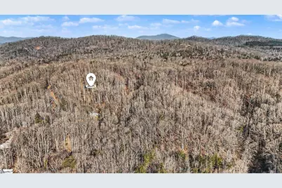 60 Chestnut Mountain Road, Travelers Rest, SC 29690 - Photo 28