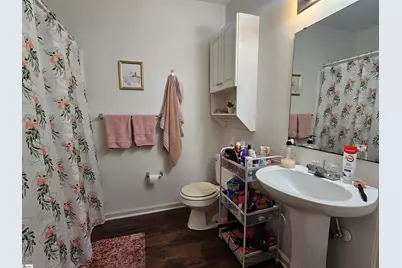102 Universtiy Village Drive, Central, SC 29630 - Photo 10