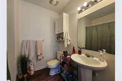 102 Universtiy Village Drive, Central, SC 29630 - Photo 16