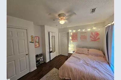 102 Universtiy Village Drive, Central, SC 29630 - Photo 12