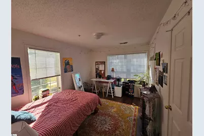 102 Universtiy Village Drive, Central, SC 29630 - Photo 14