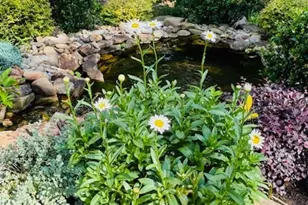 511 Palmer Way, Sunset, SC 29685 - Photo 38