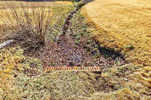 309 Kings Rd, Anderson, SC 29621 - Photo 30