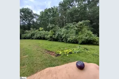 419 Wood Road, Taylors, SC 29687 - Photo 14