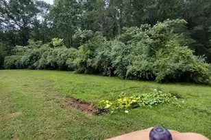 419 Wood Rd, Taylors, SC 29687 - Photo 14