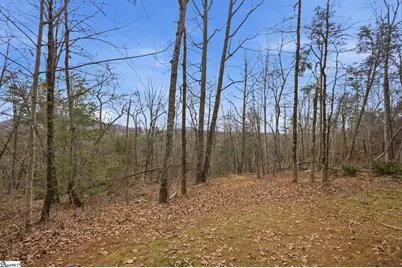 207 Cliffside Trail, Pickens, SC 29671 - Photo 46
