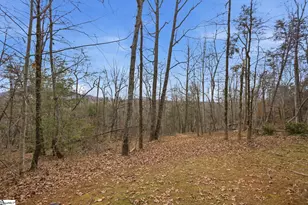 207 Cliffside Trl, Pickens, SC 29671 - Photo 46