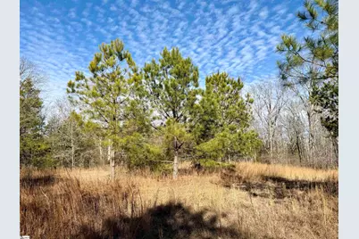 00 Neely Ferry Road, Laurens, SC 29360 - Photo 16