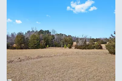 00 Piney Grove School Road, Gray Court, SC 29645 - Photo 4