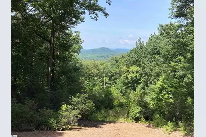 201 Plumley Summit Road, Landrum, SC 29356 - Photo 34