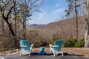 201 Plumley Summit Rd, Landrum, SC 29356 - Photo 2