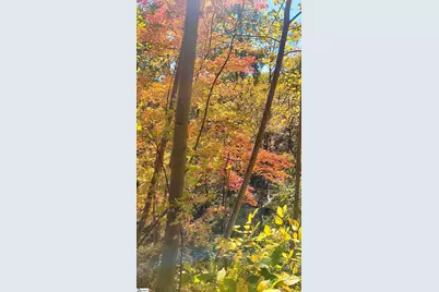 146 Glassy Falls Trail, Travelers Rest, SC 29690 - Photo 50