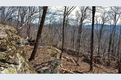 146 Glassy Falls Trail, Travelers Rest, SC 29690 - Photo 8