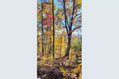 146 Glassy Falls Trail, Travelers Rest, SC 29690 - Photo 40