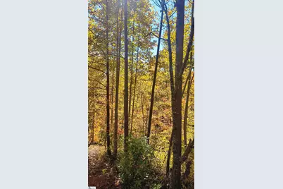 146 Glassy Falls Trail, Travelers Rest, SC 29690 - Photo 48