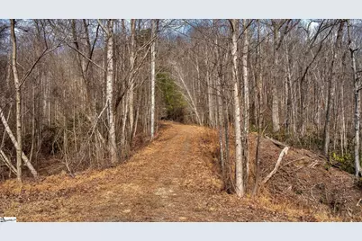 146 Glassy Falls Trail, Travelers Rest, SC 29690 - Photo 28