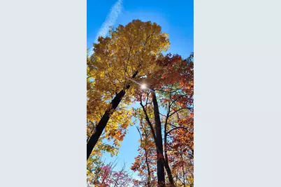 146 Glassy Falls Trail, Travelers Rest, SC 29690 - Photo 34